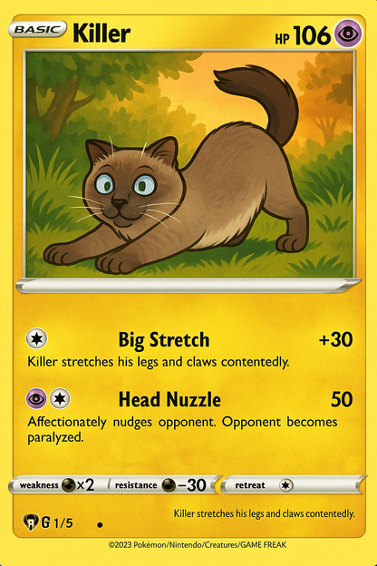 Custom Pet Card