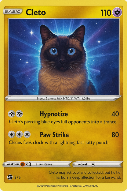 Custom Pet Card